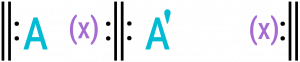 Diagram of simple binary form with balanced aspect where 2nd reprise continues A's material. 𝄆A(x)𝄇𝄆A′(x)𝄇