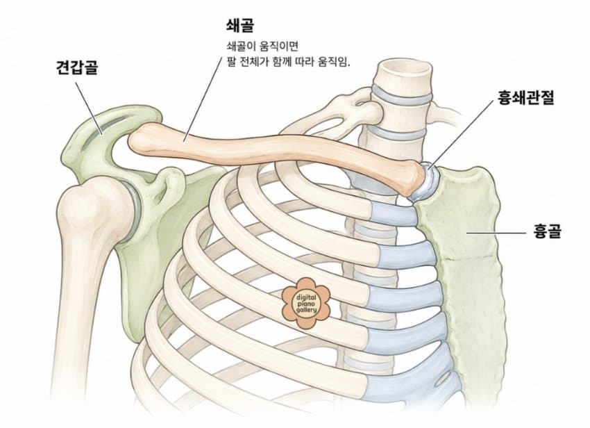본문 이미지 1