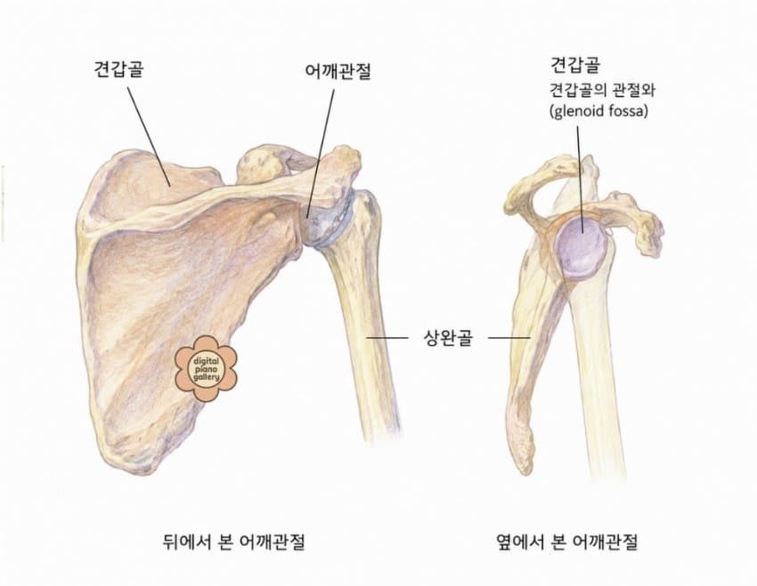 본문 이미지 3