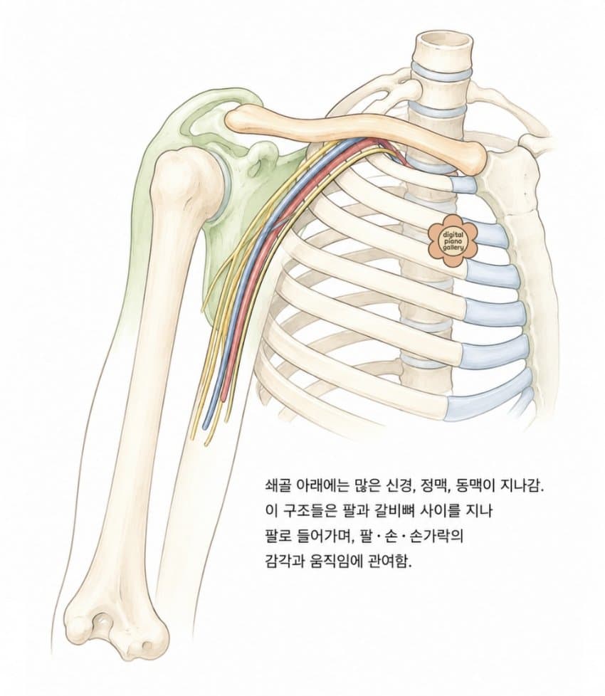 본문 이미지 3