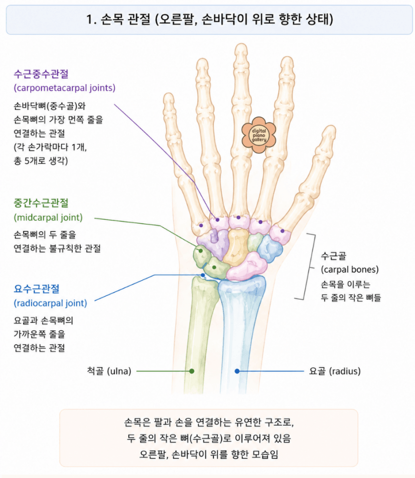 본문 이미지 1