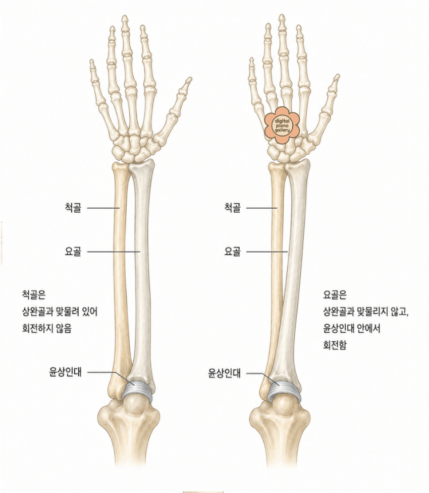 본문 이미지 2