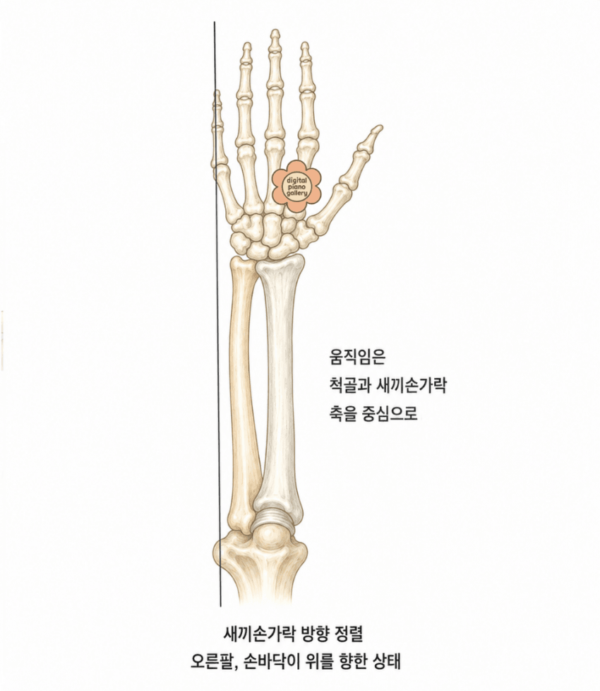 본문 이미지 3