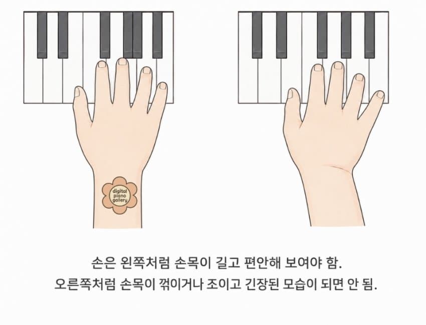 본문 이미지 5