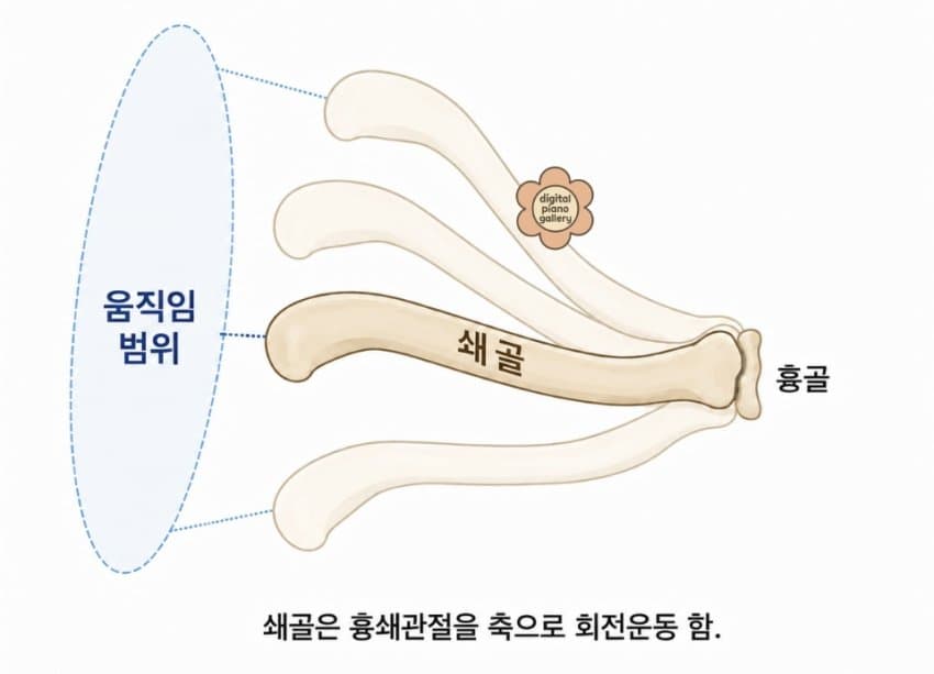 본문 이미지 2