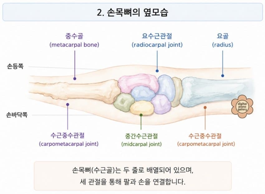 본문 이미지 2