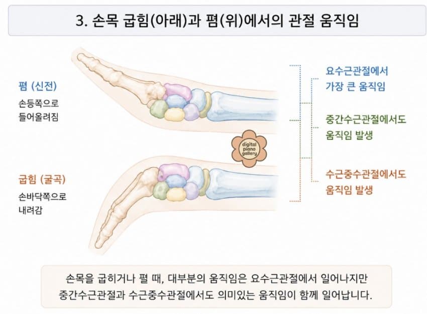 본문 이미지 3